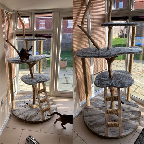 etsy cat tree|unique cat trees for sale.